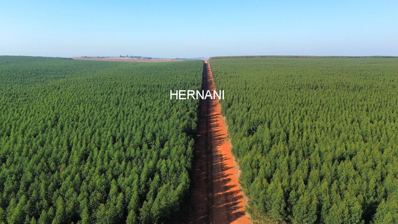 Fazenda, 777 hectares - Foto 17