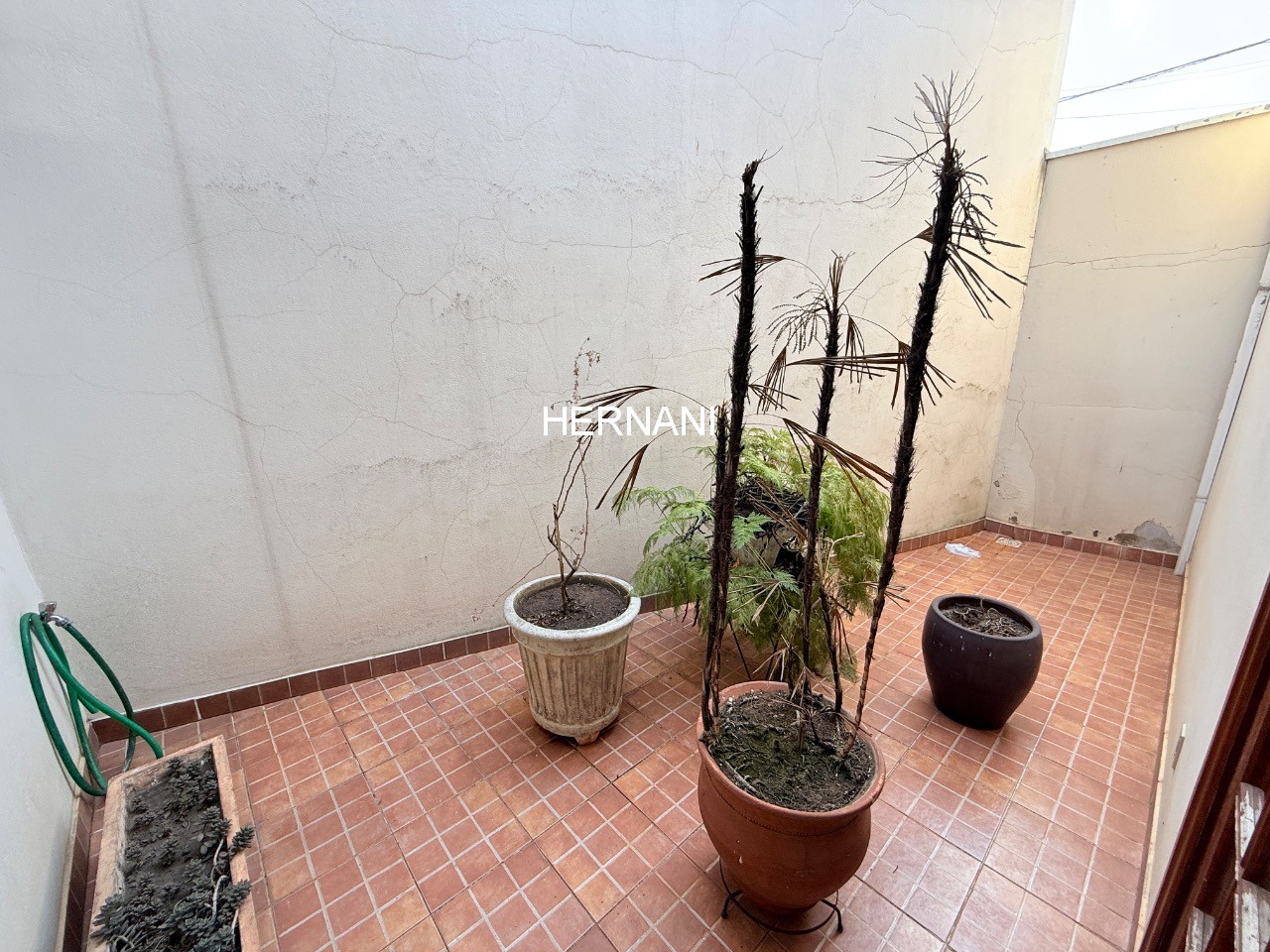 Casa, 3 quartos, 231 m² - Foto 10