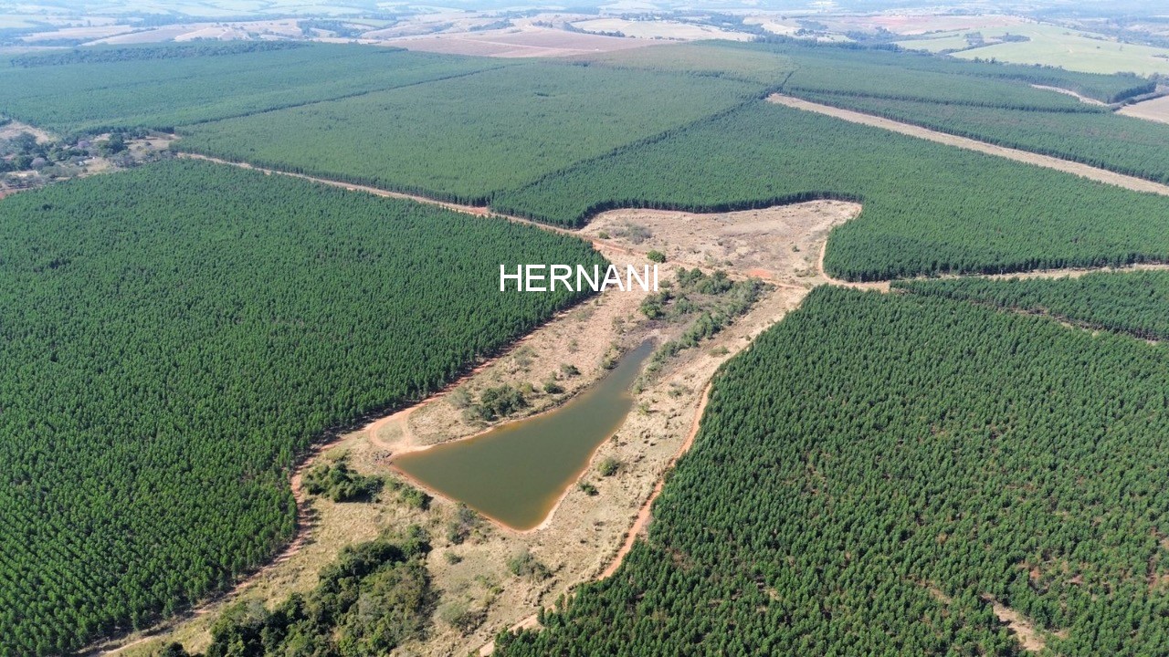 Fazenda, 777 hectares - Foto 8