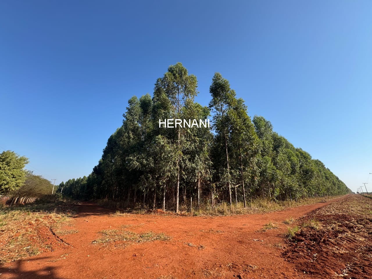 Fazenda, 777 hectares - Foto 3