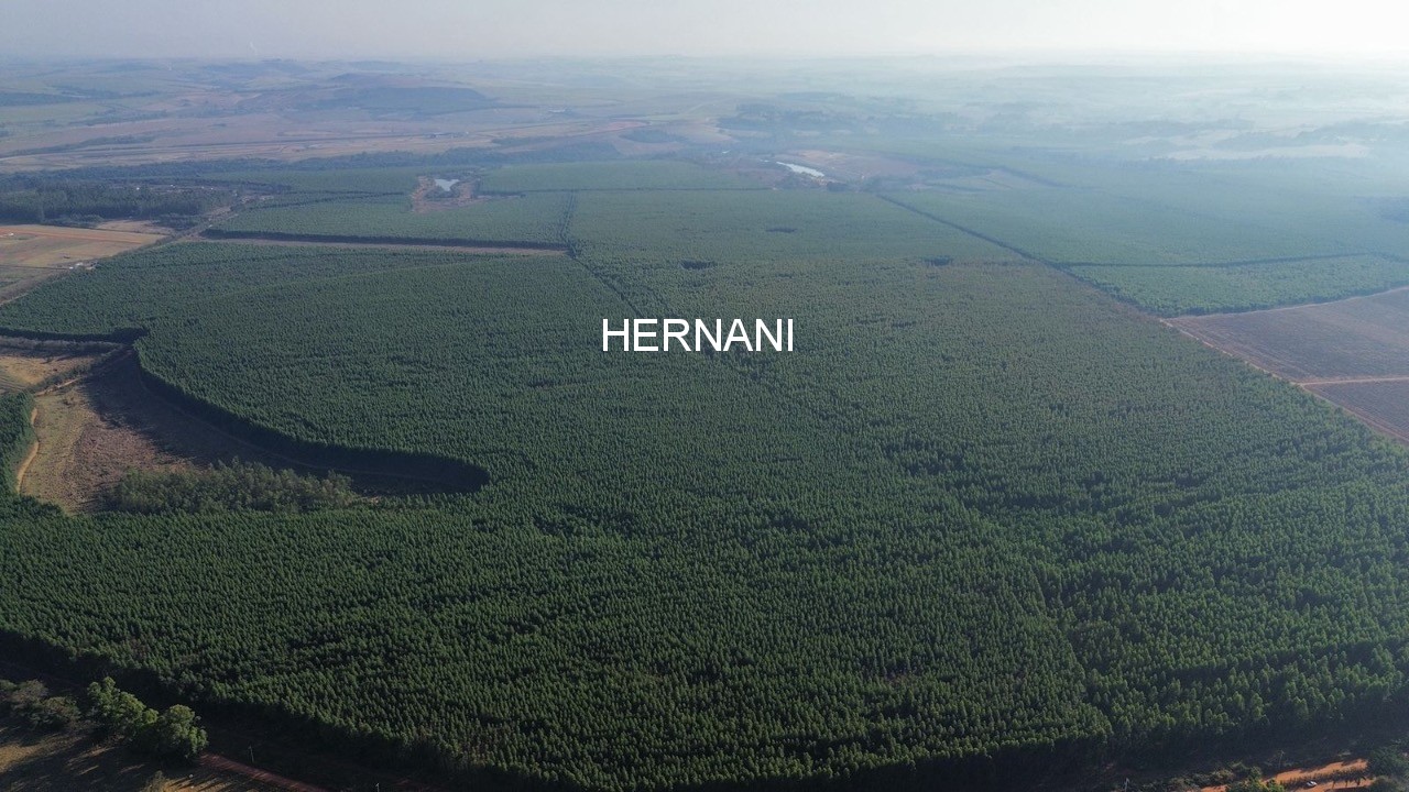 Fazenda, 777 hectares - Foto 15