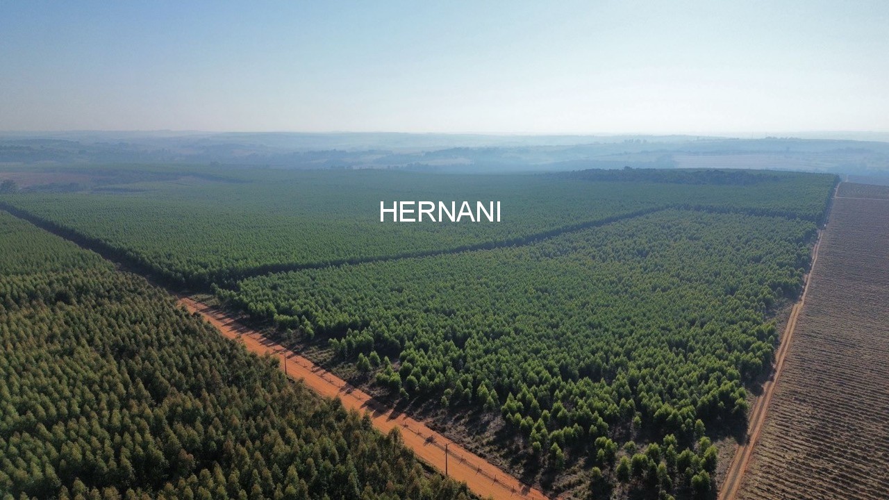 Fazenda, 777 hectares - Foto 14