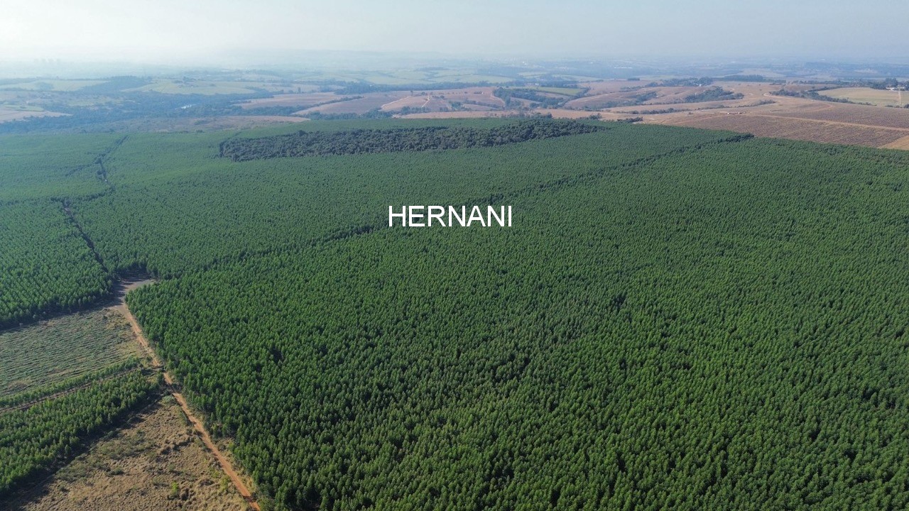 Fazenda, 777 hectares - Foto 16