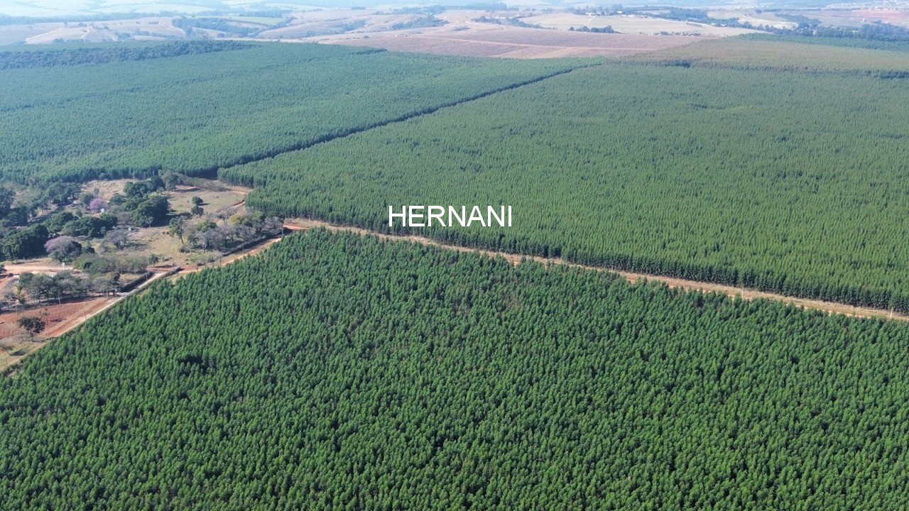 Fazenda, 777 hectares - Foto 9