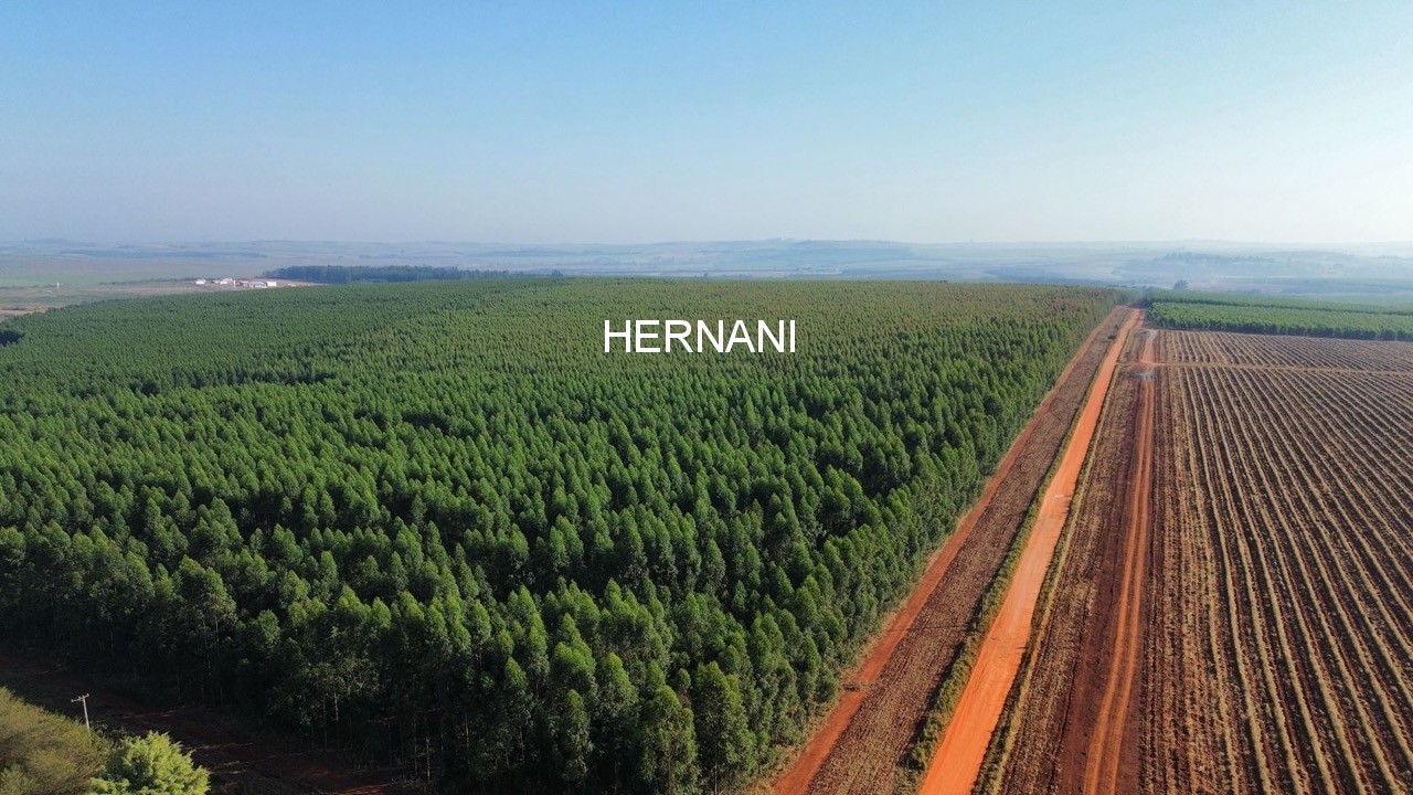 Fazenda, 777 hectares - Foto 13