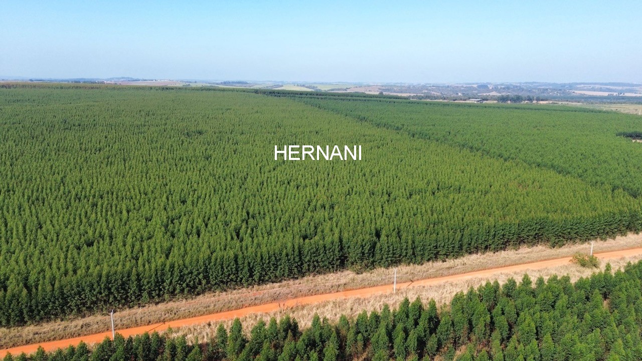 Fazenda, 777 hectares - Foto 1