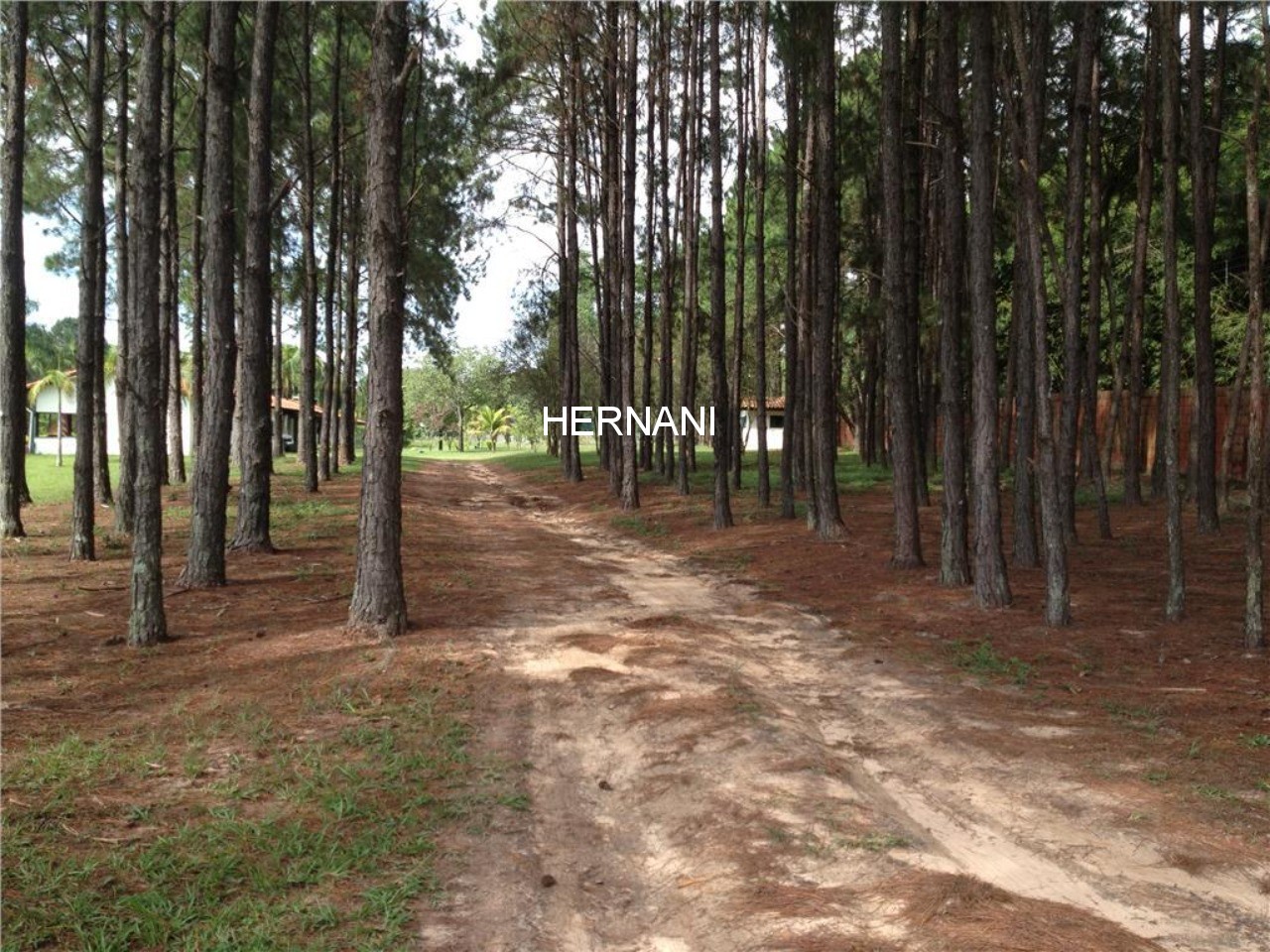 Sítio, 5 quartos, 4 hectares - Foto 16