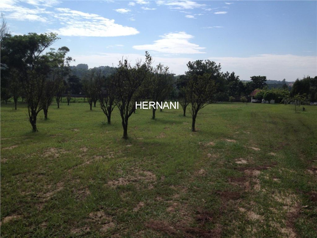 Sítio, 5 quartos, 4 hectares - Foto 10