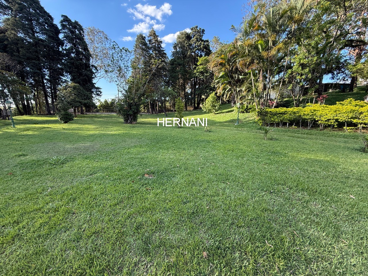 Sítio, 5 quartos, 11 hectares - Foto 7