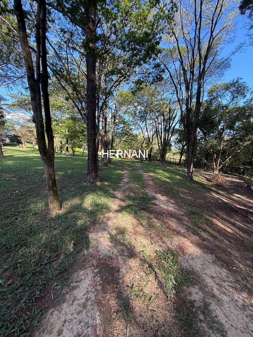 Sítio, 5 quartos, 11 hectares - Foto 22