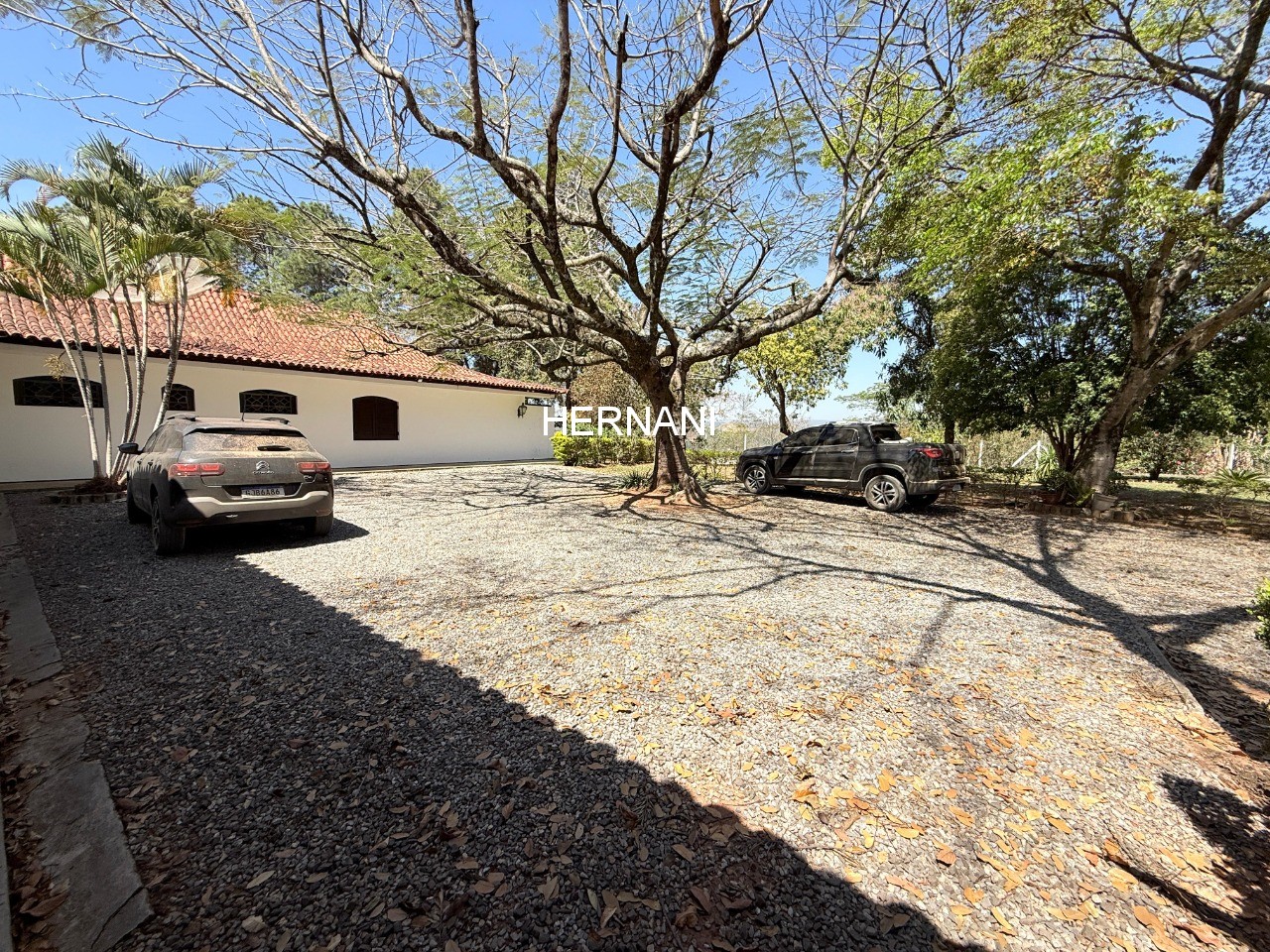 Sítio, 28 quartos, 9800 m² - Foto 4