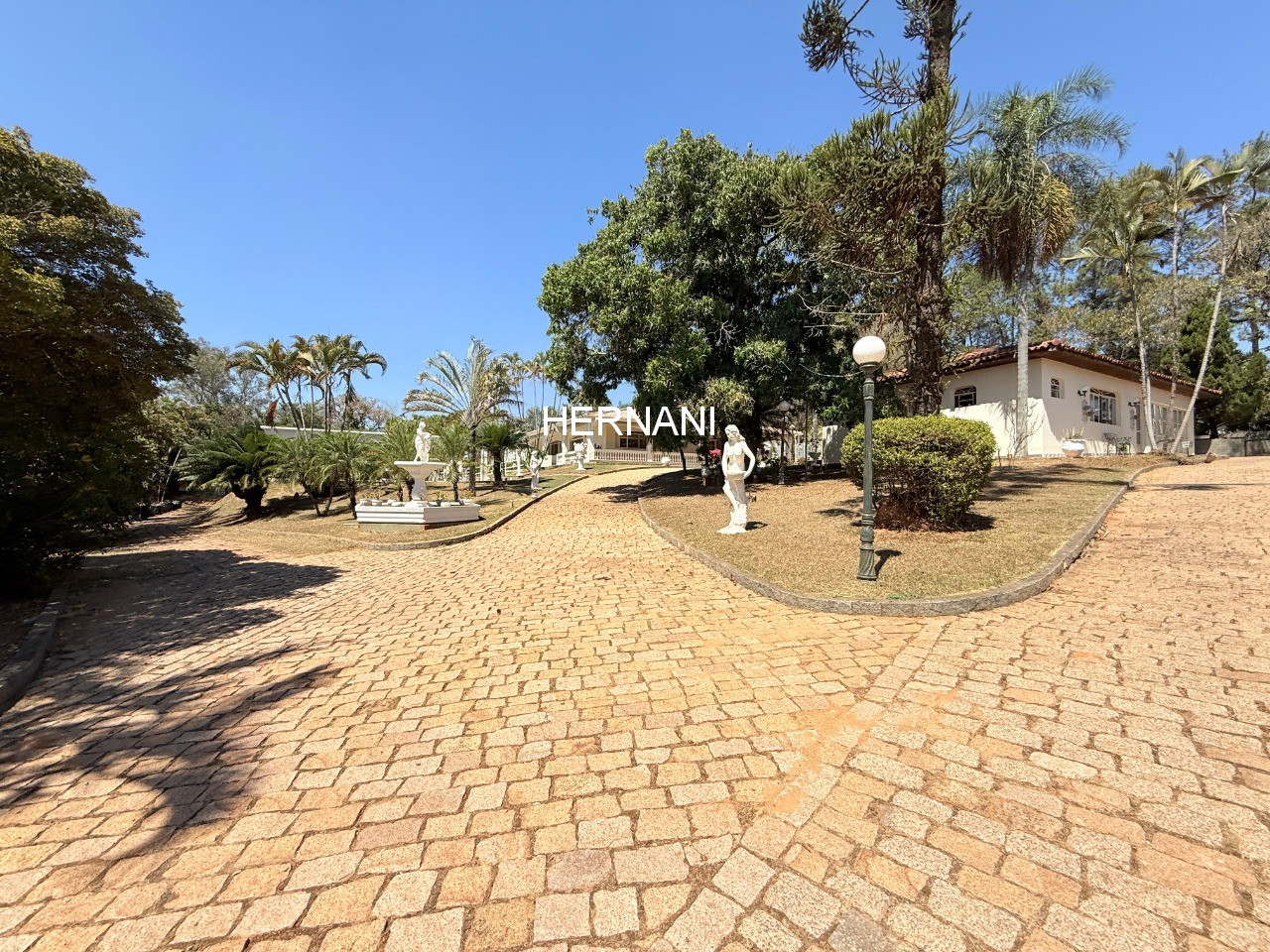 Sítio, 28 quartos, 9800 m² - Foto 3