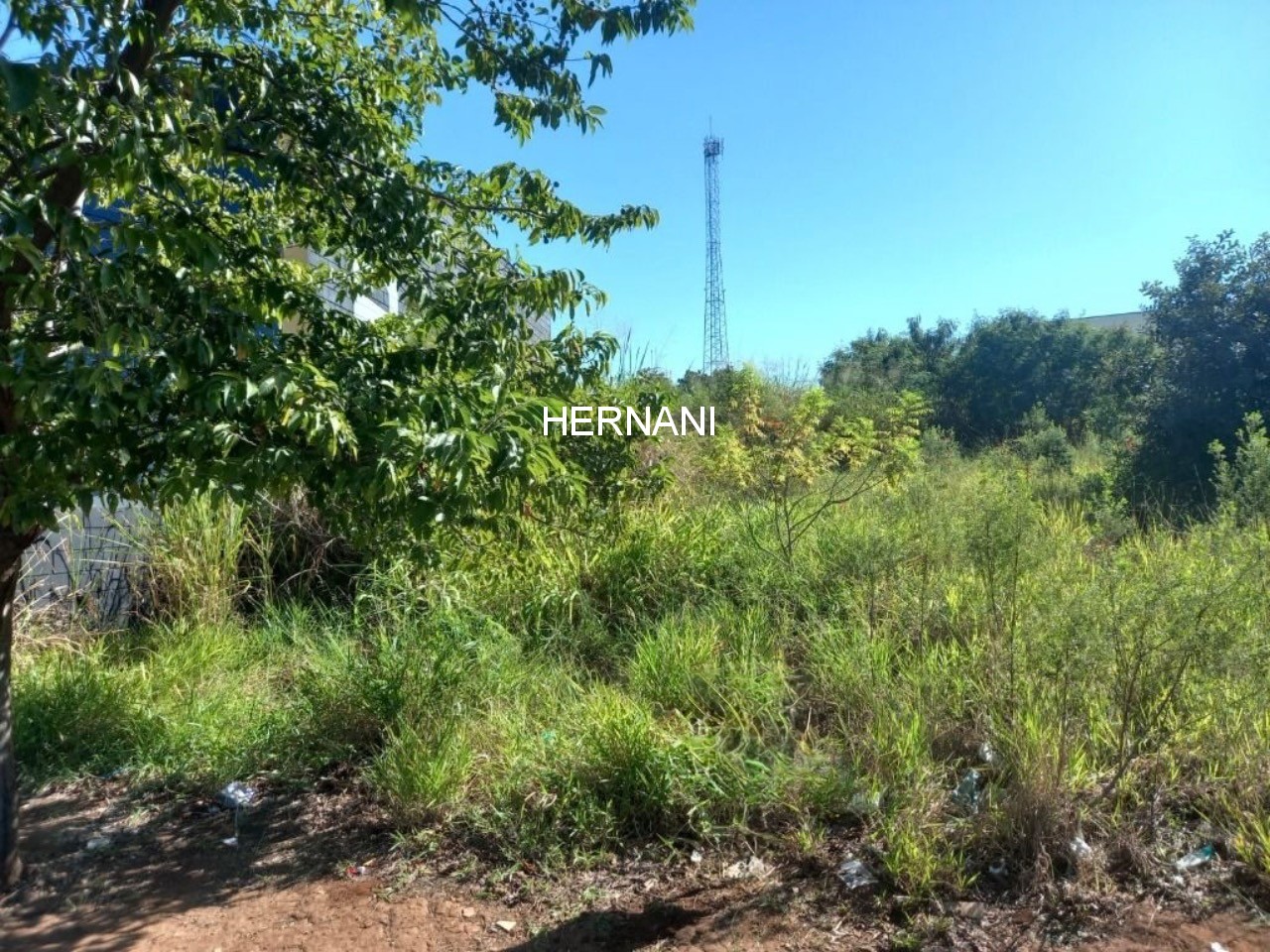 Loteamento e Condomínio, 238 m² - Foto 3