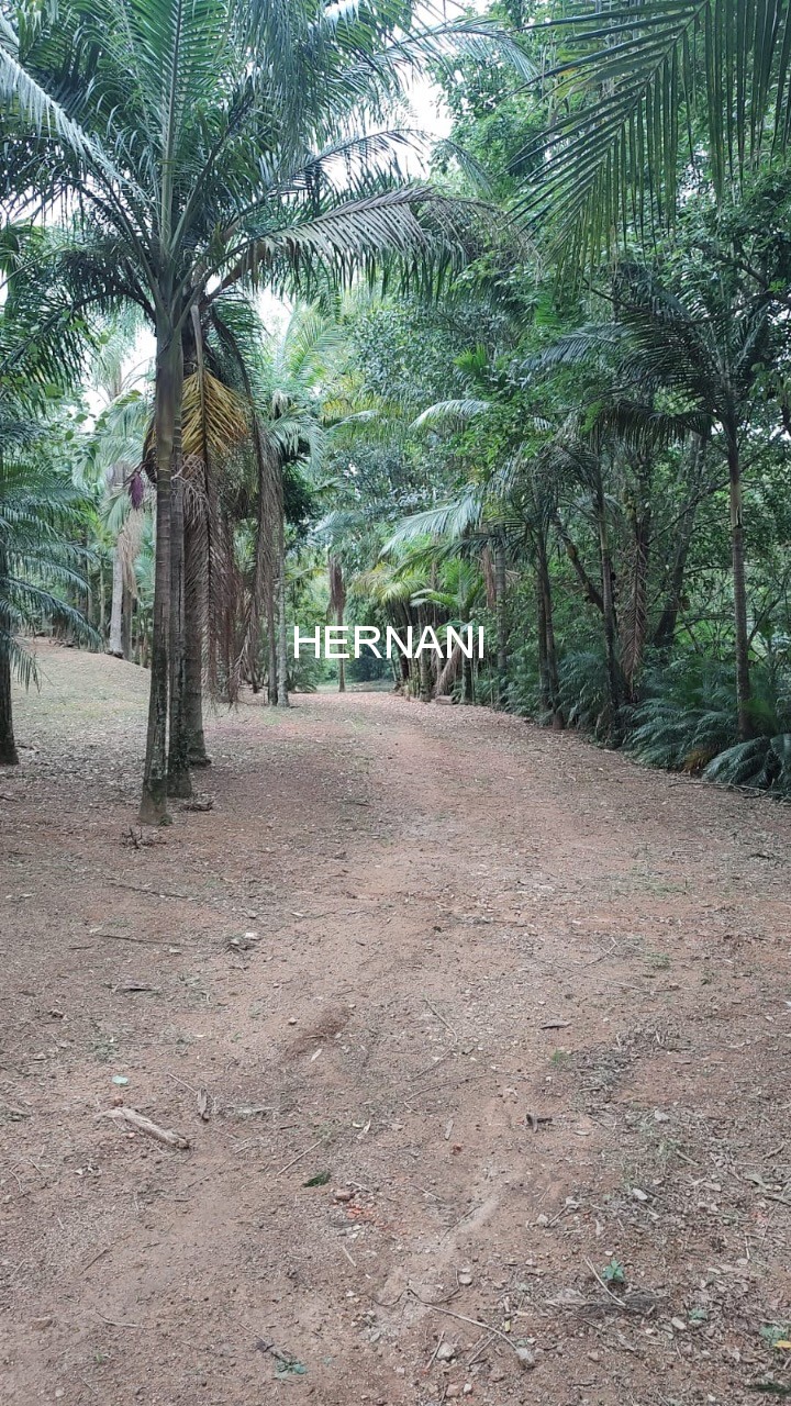 Sítio - Foto 28