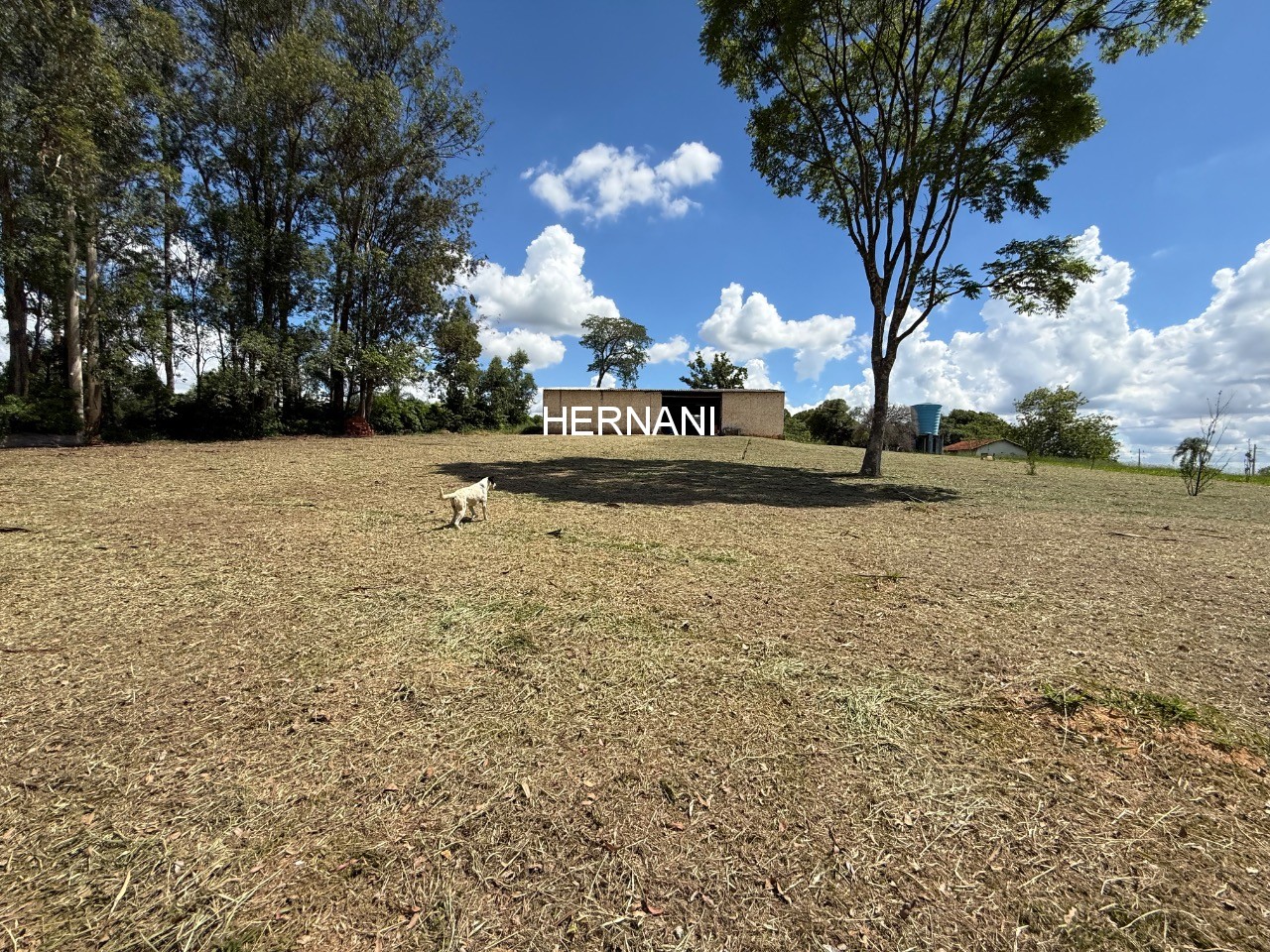 Sítio, 34 hectares - Foto 10