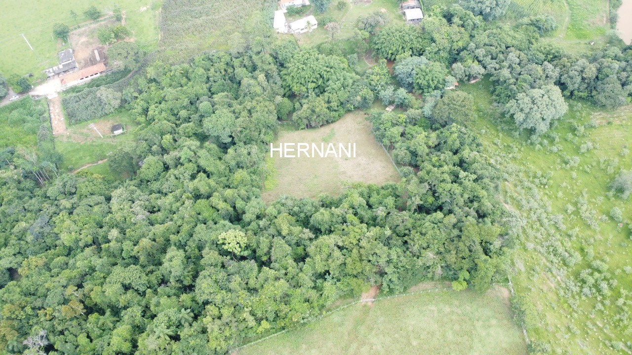 Sítio, 5 hectares - Foto 18