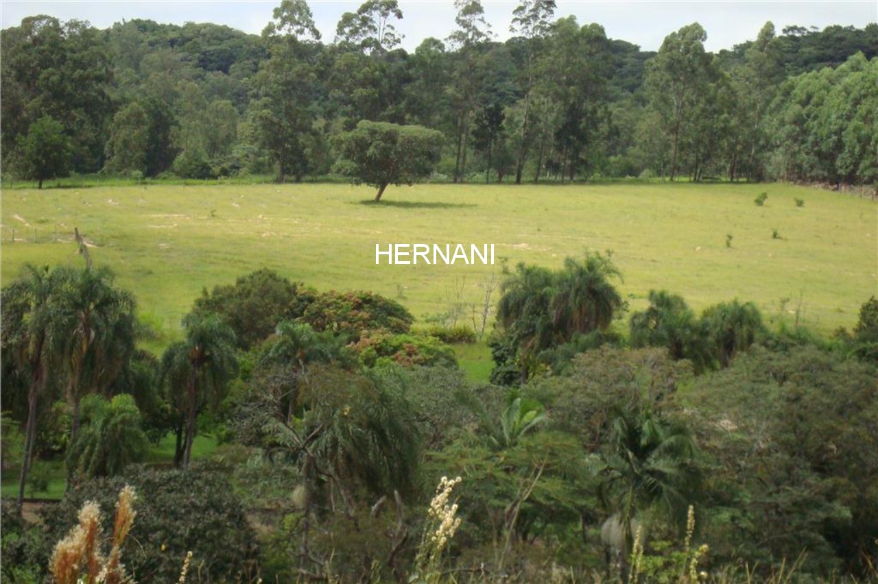 Fazenda - Foto 16
