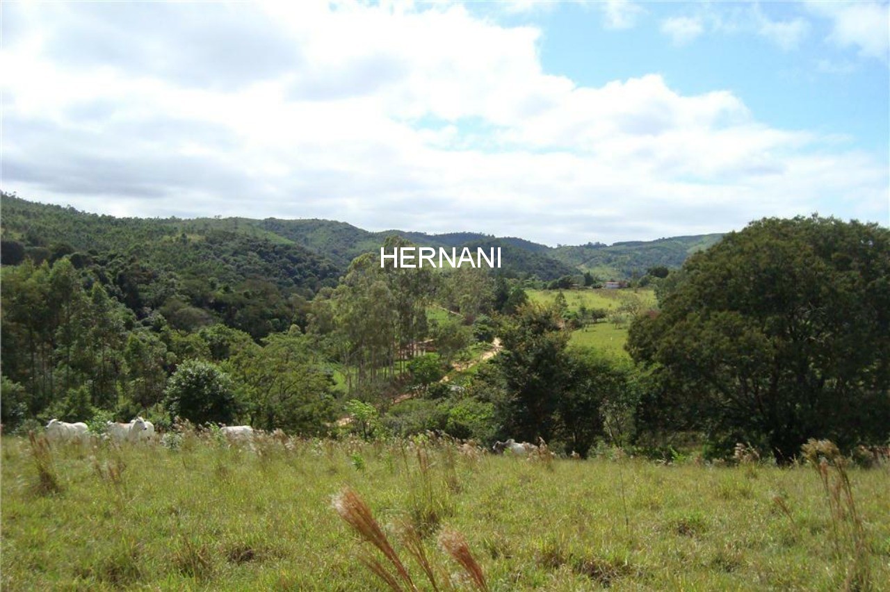 Fazenda - Foto 7