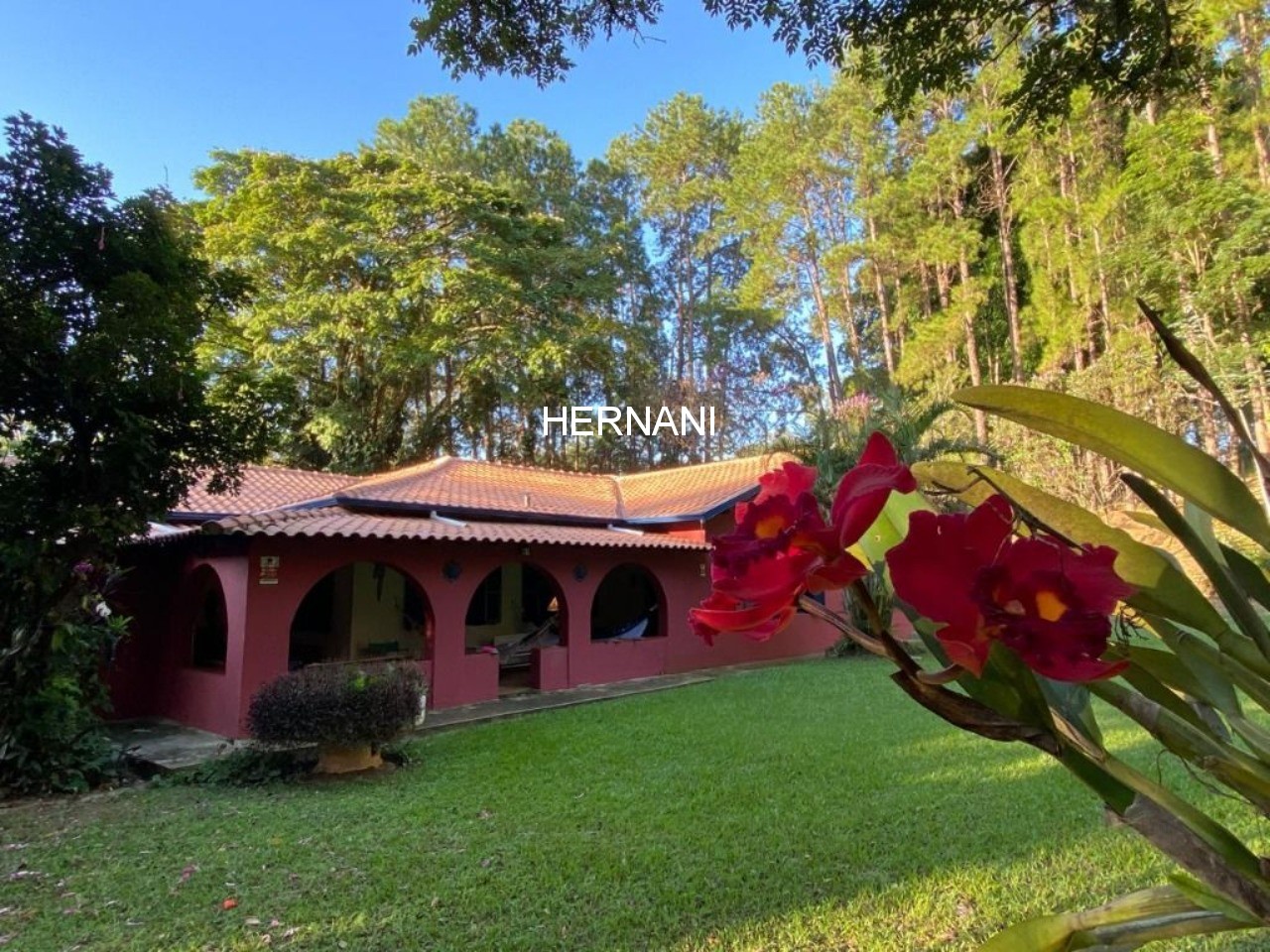 Sítio, 5 quartos, 10 hectares - Foto 11