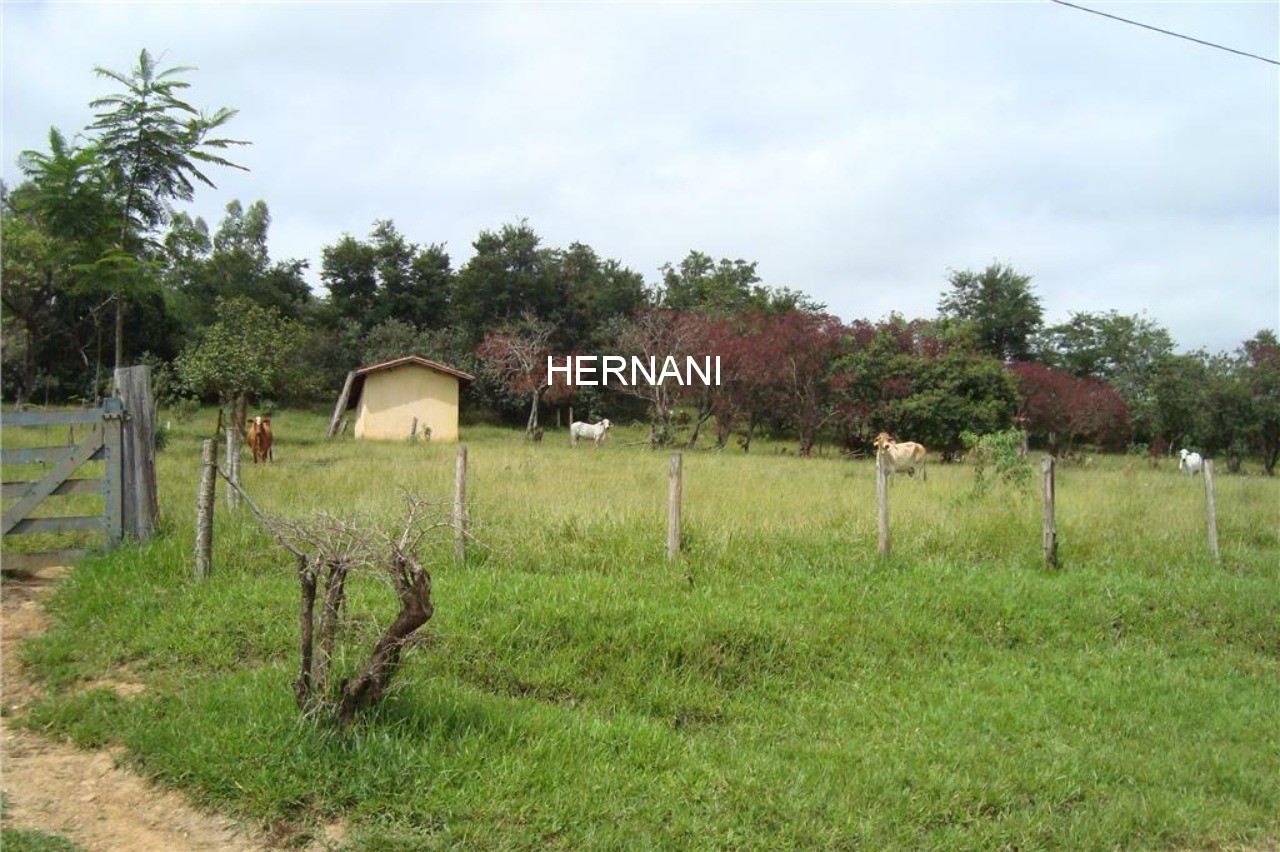 Fazenda - Foto 3
