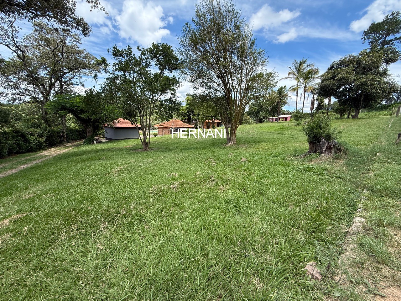 Sítio, 5 hectares - Foto 14