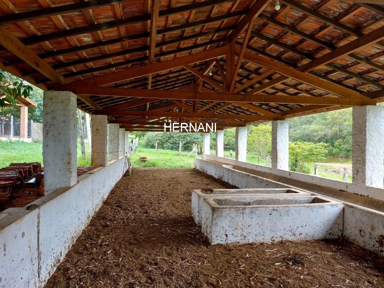Sítio, 48 hectares - Foto 23