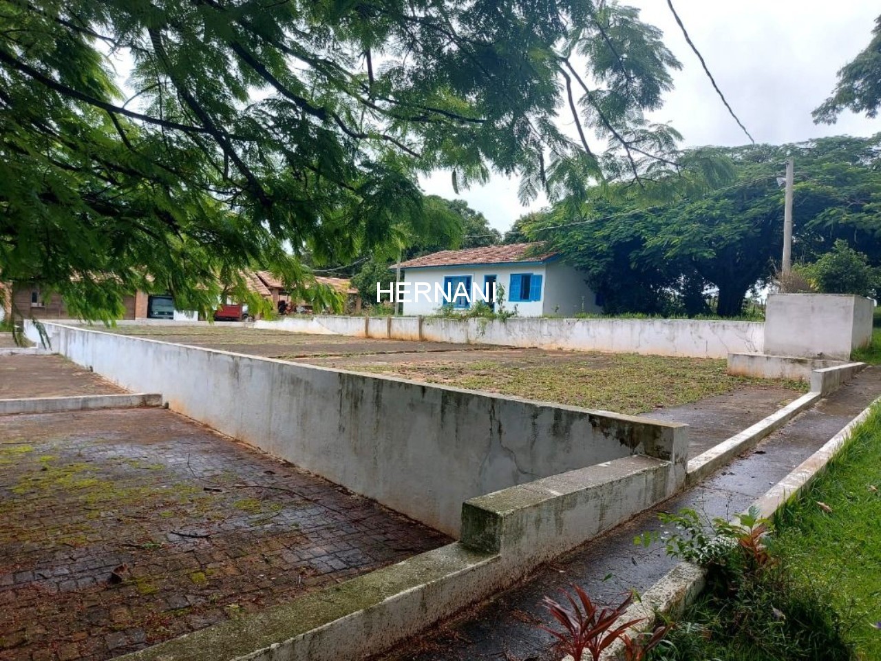 Sítio, 48 hectares - Foto 10