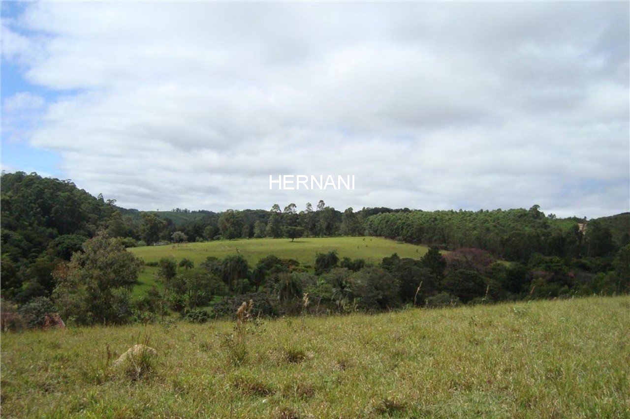 Fazenda - Foto 14