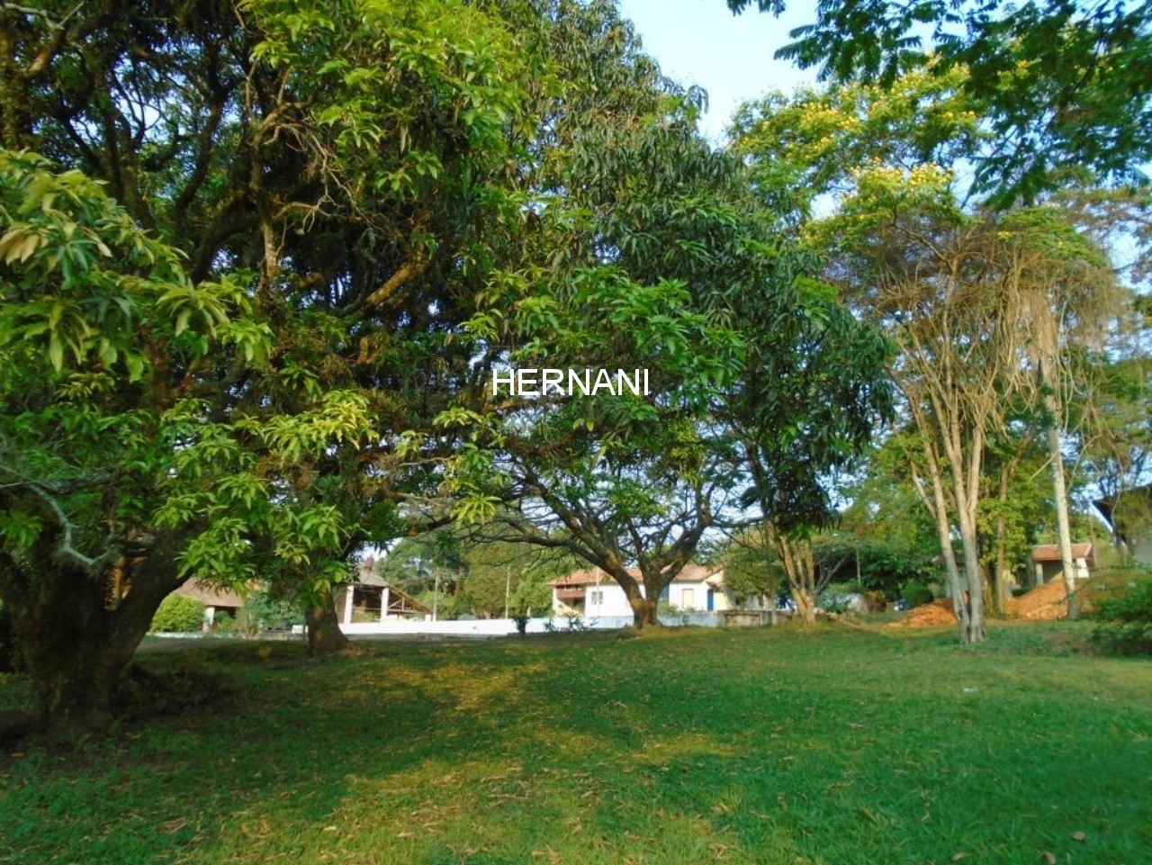 Sítio, 48 hectares - Foto 6