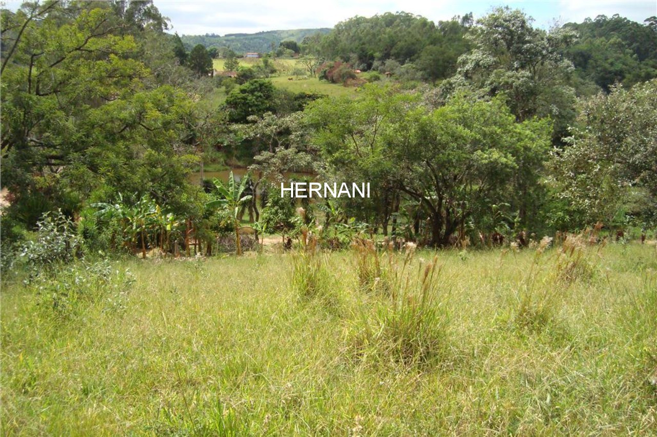 Fazenda - Foto 6