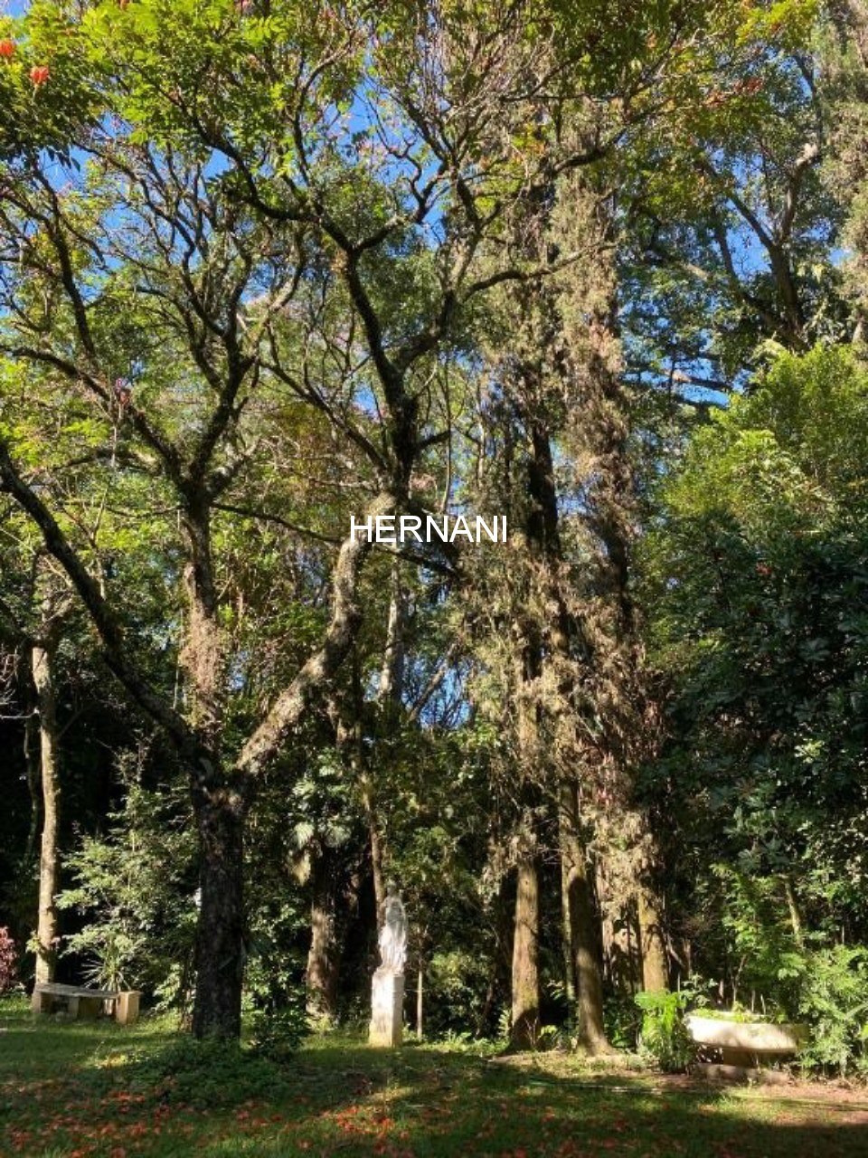 Sítio, 5 quartos, 10 hectares - Foto 4