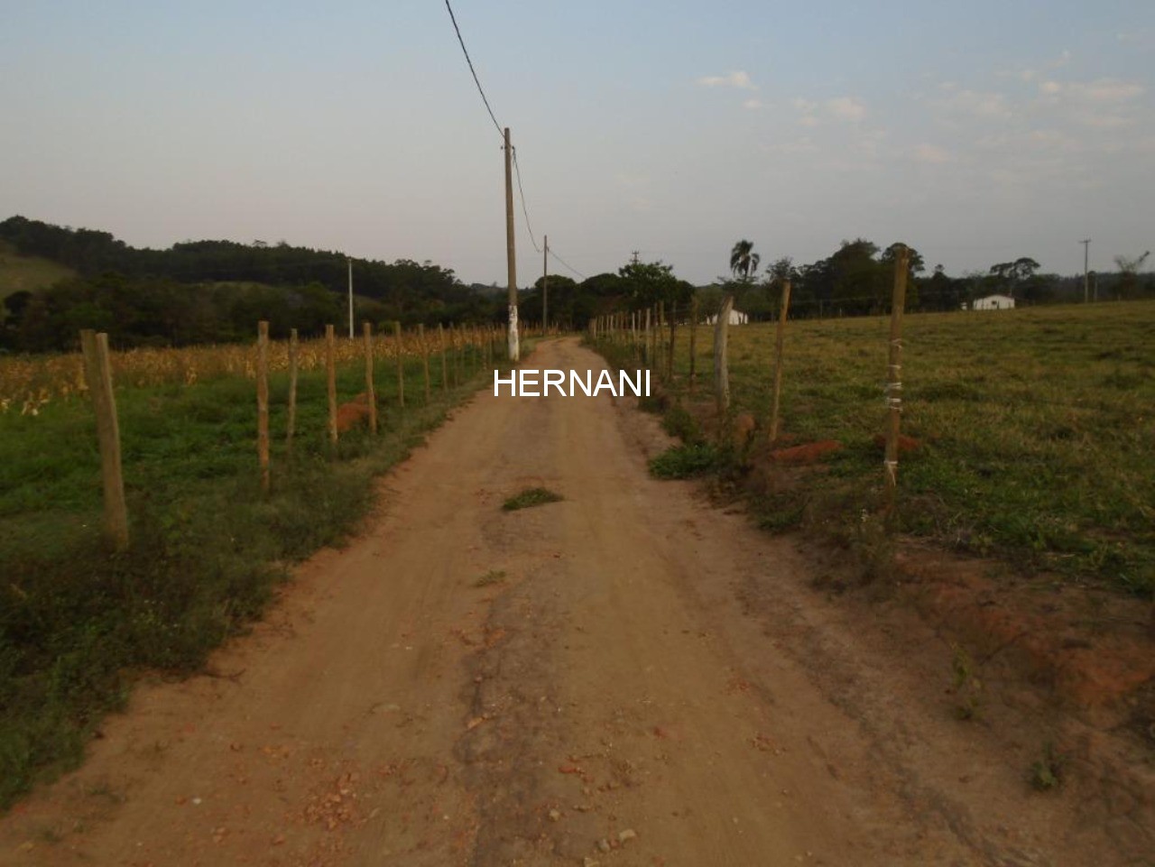 Sítio, 48 hectares - Foto 12