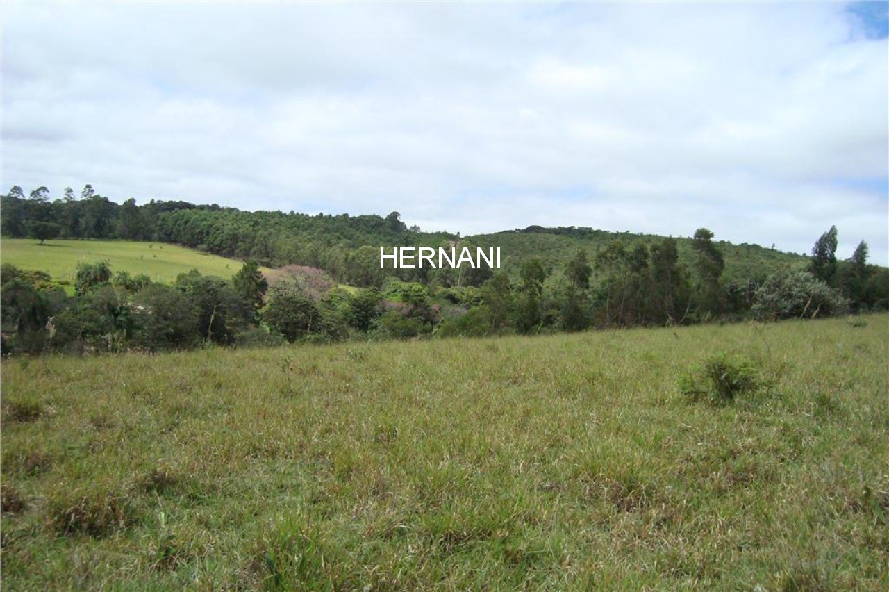 Fazenda - Foto 21
