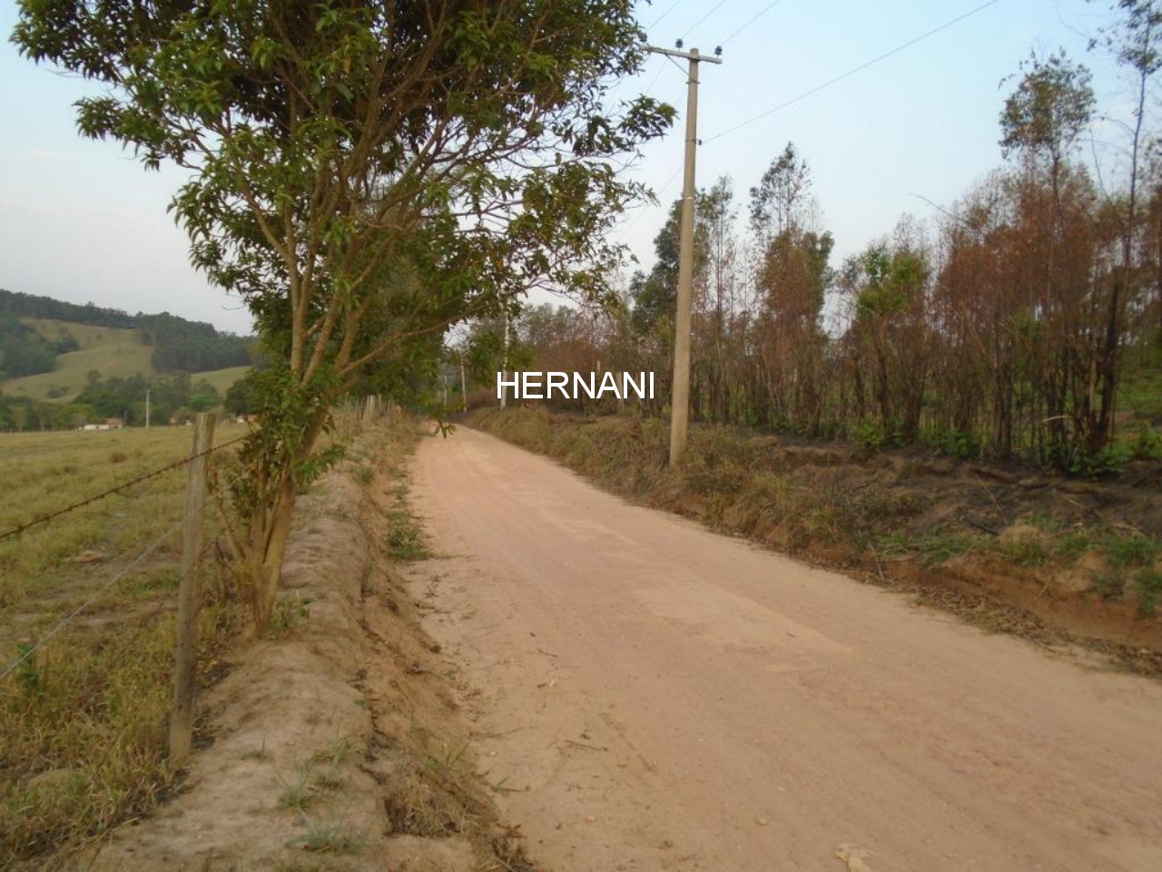 Sítio, 48 hectares - Foto 11