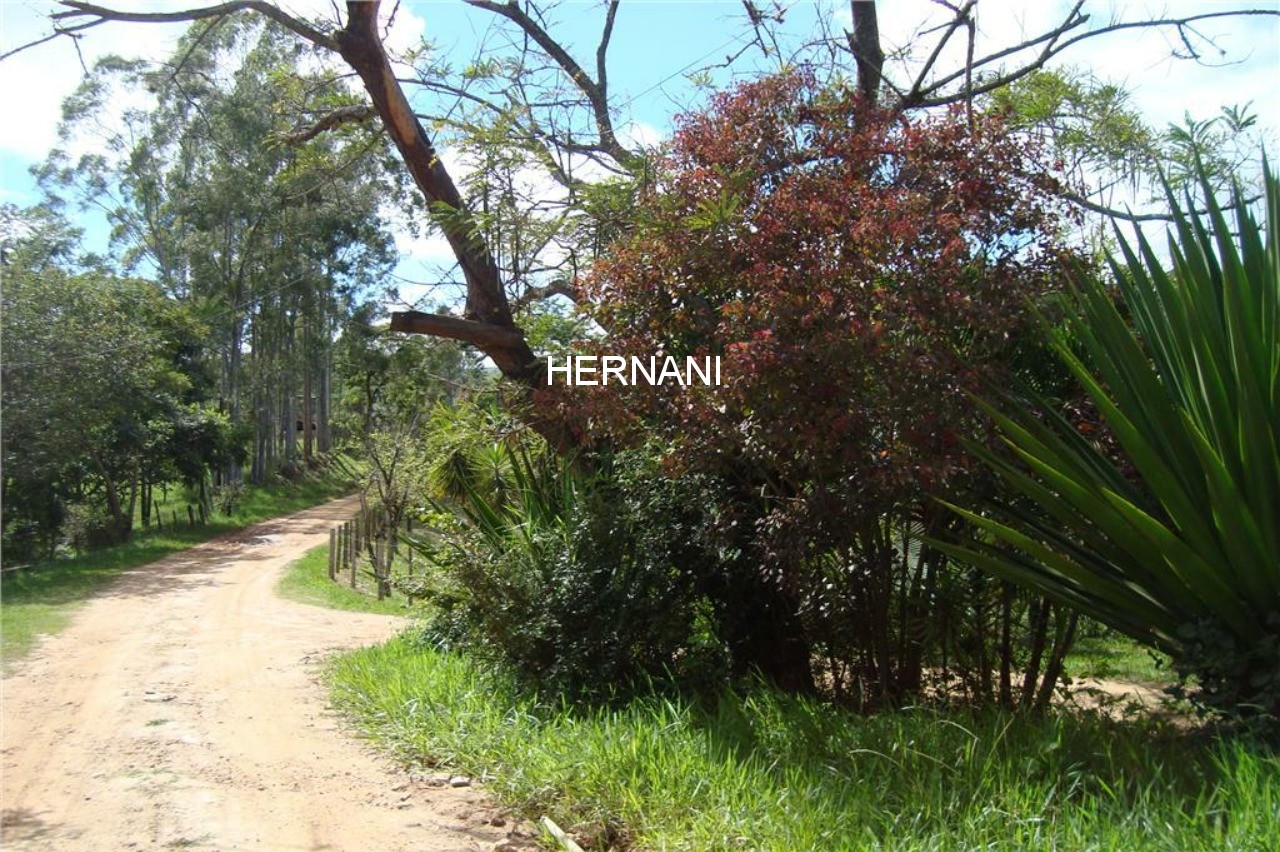 Fazenda - Foto 13