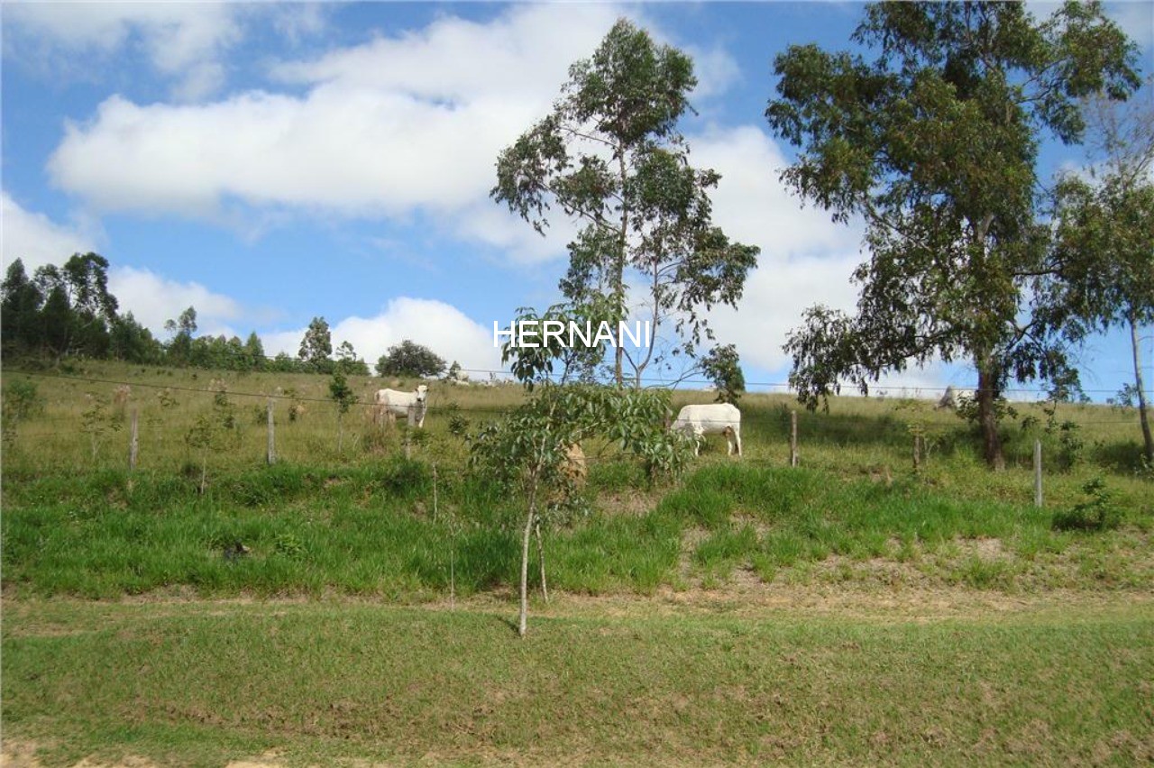 Fazenda - Foto 8