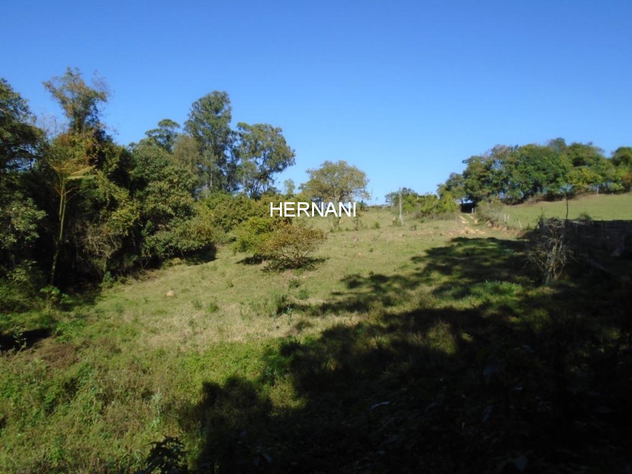 Sítio, 34 hectares - Foto 15