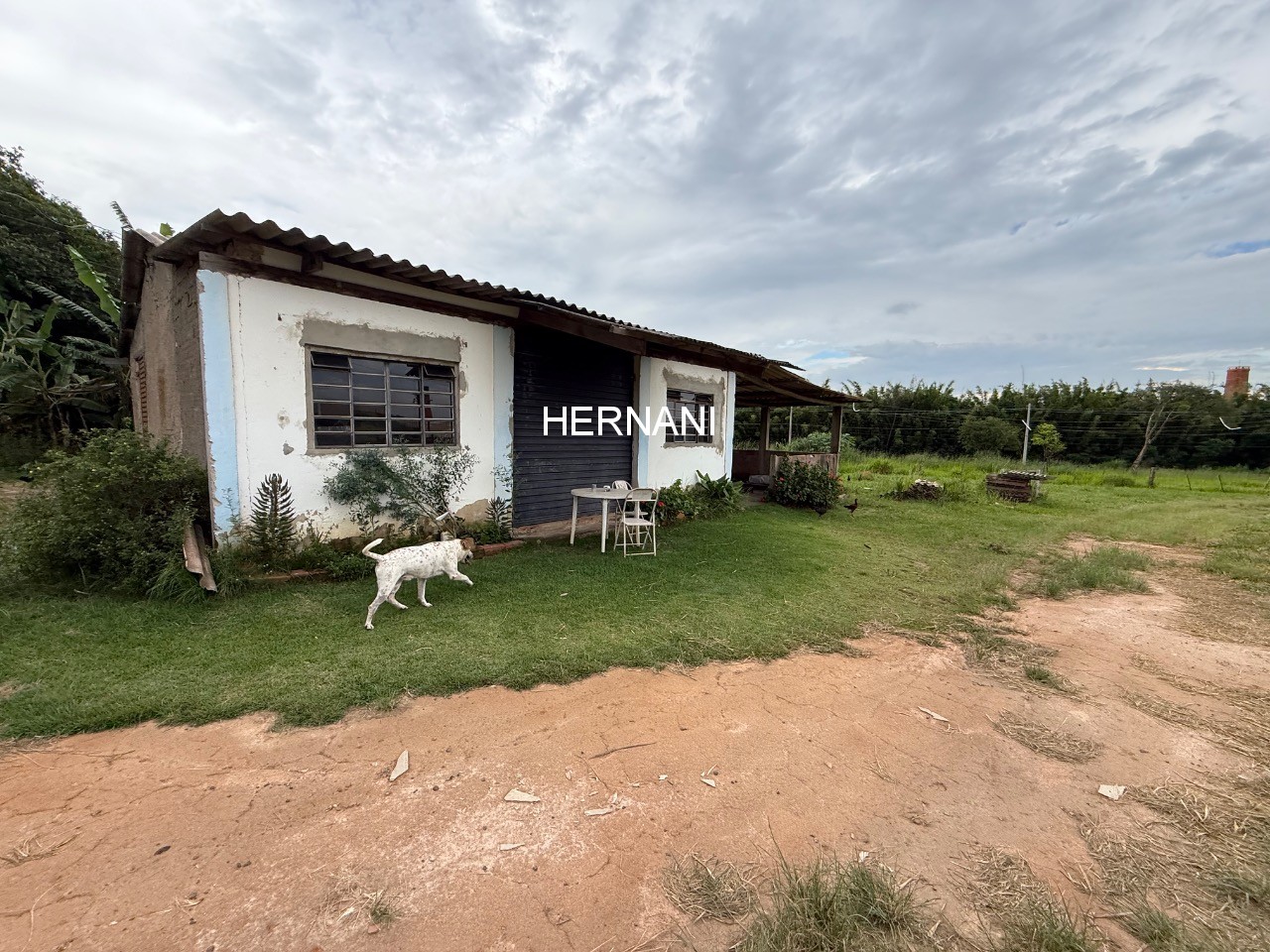 Terreno, 2 hectares - Foto 14