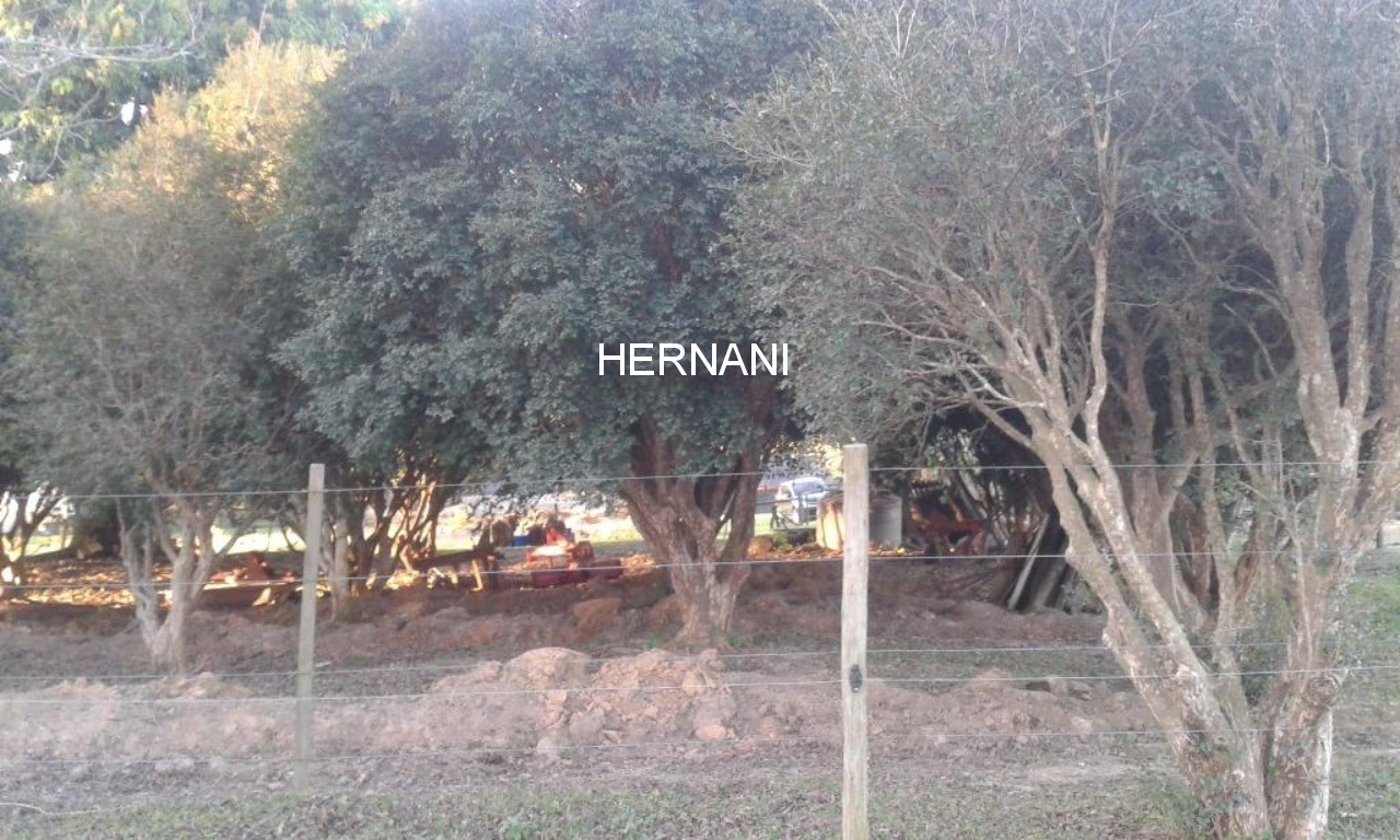 Sítio, 18 hectares - Foto 27