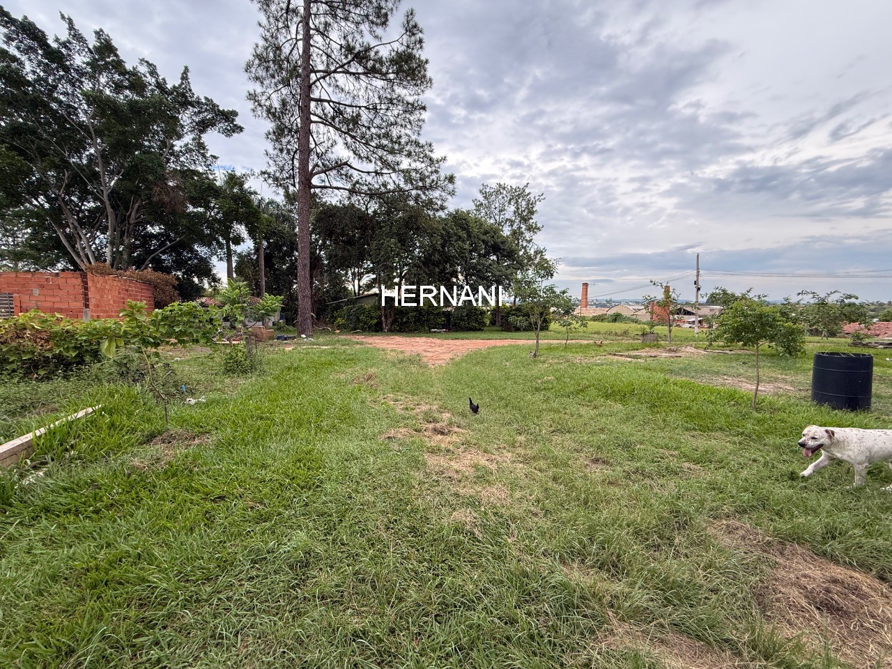 Terreno, 2 hectares - Foto 24