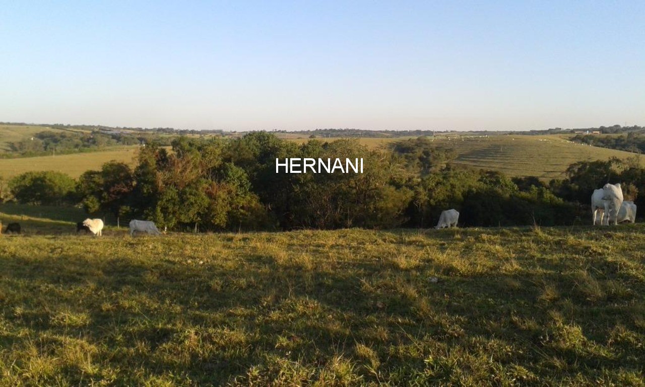 Sítio, 18 hectares - Foto 30