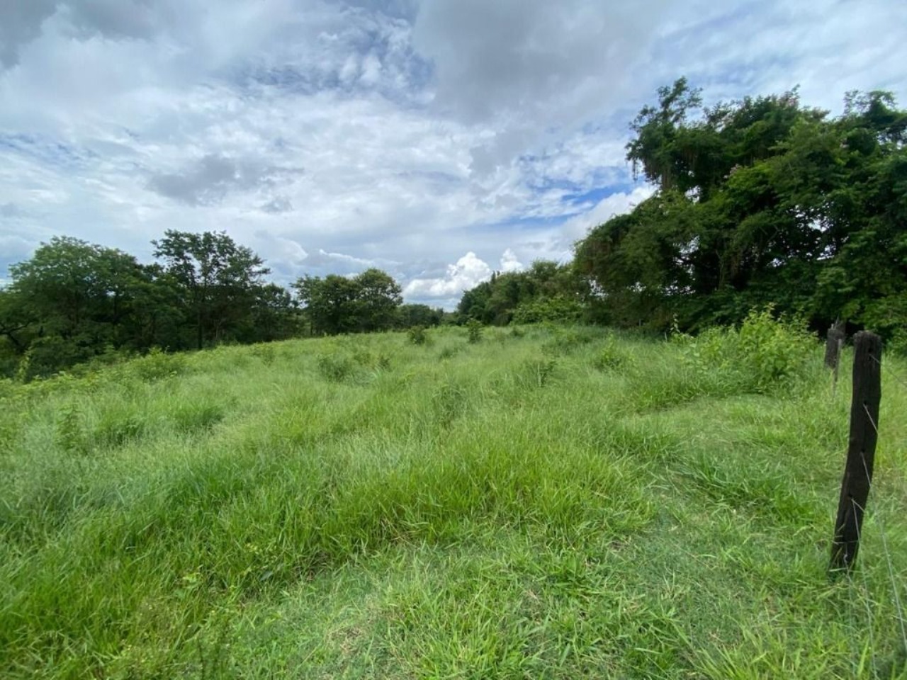 Terreno, 7000 m² - Foto 4