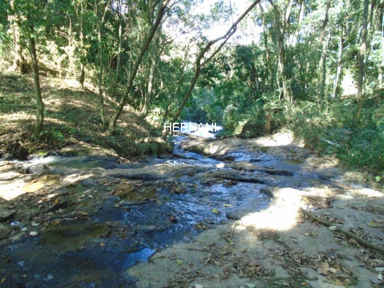 Sítio, 34 hectares - Foto 10