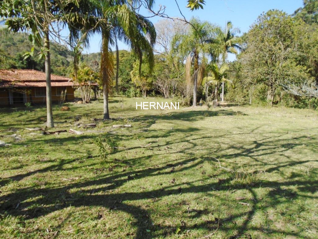 Sítio, 34 hectares - Foto 4