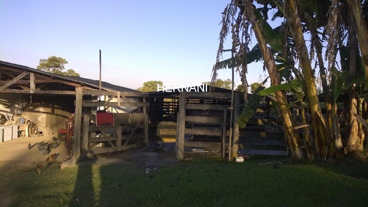 Sítio, 18 hectares - Foto 10