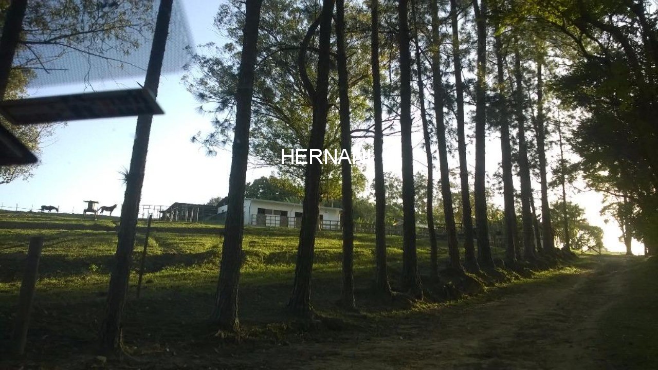 Sítio, 18 hectares - Foto 12