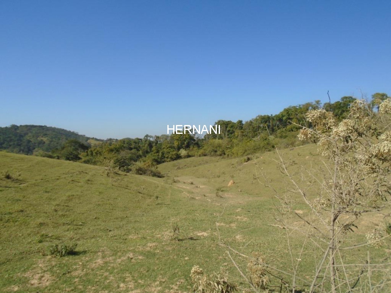 Sítio, 34 hectares - Foto 24