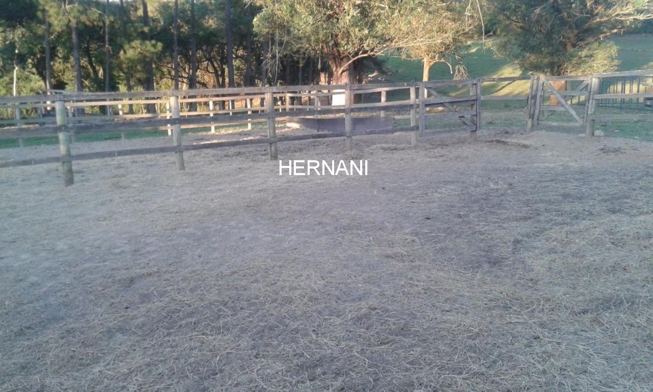 Sítio, 18 hectares - Foto 22