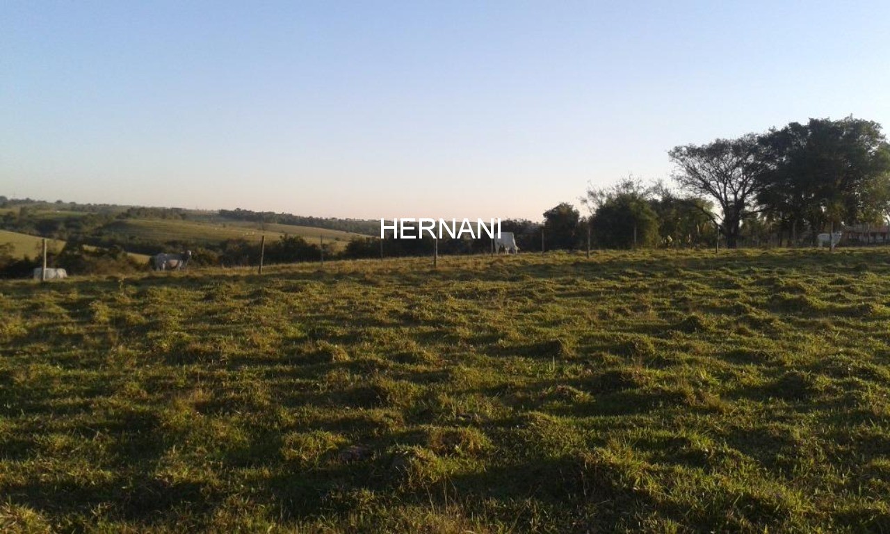 Sítio, 18 hectares - Foto 38