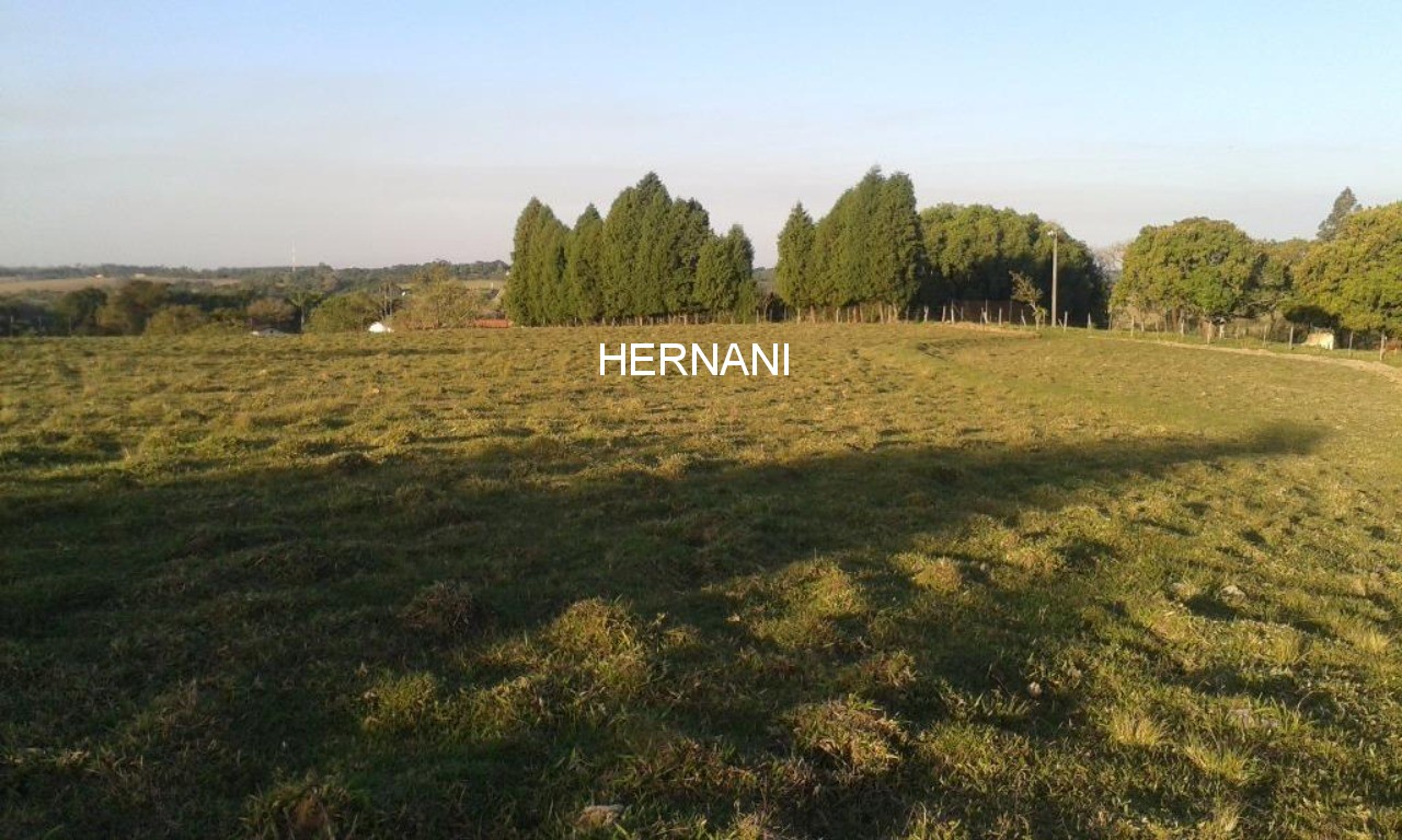 Sítio, 18 hectares - Foto 34